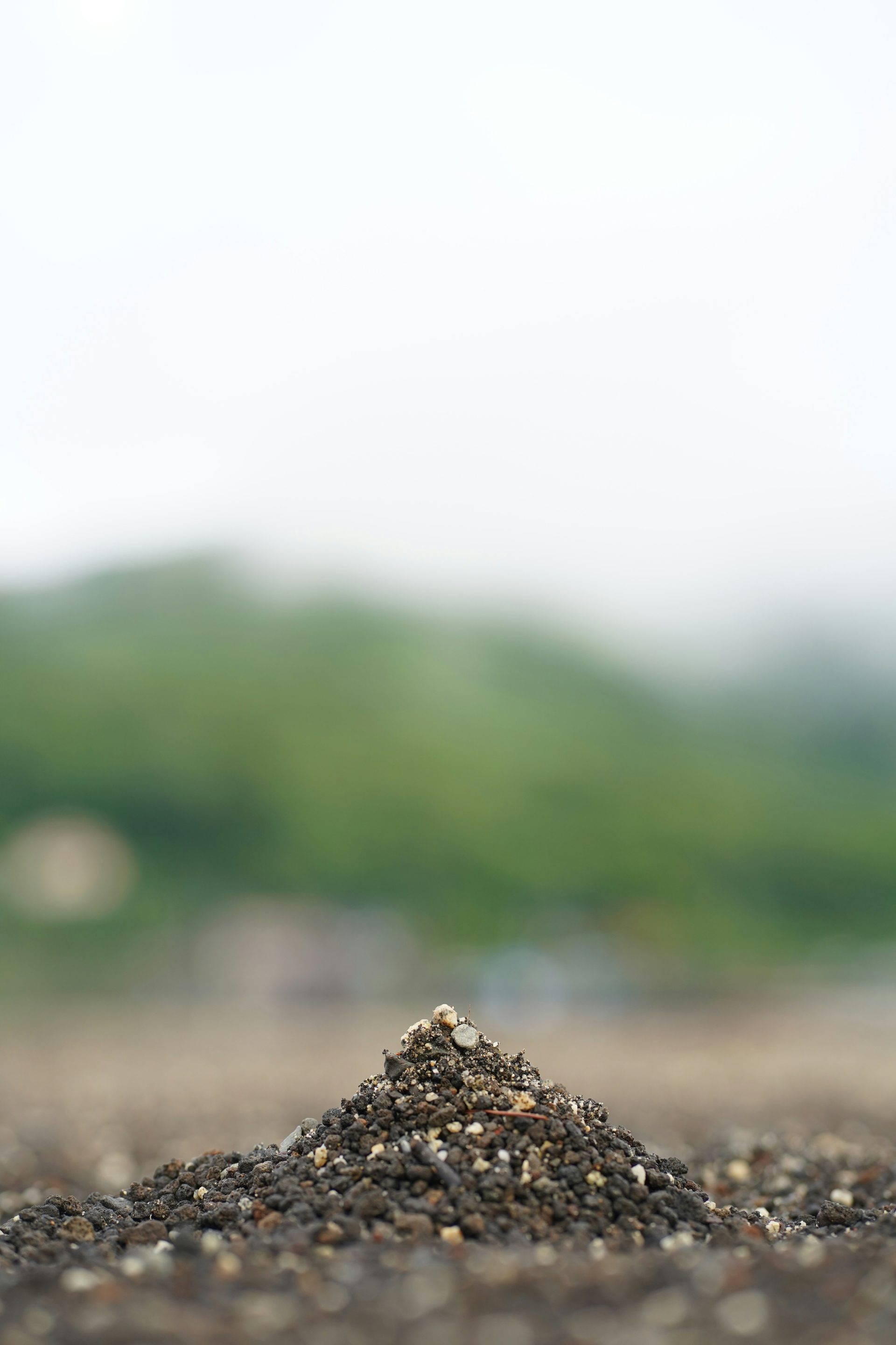 a pile of dirt sitting in the middle of a field